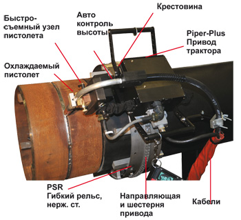 Piper-Plus Состав